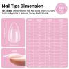 imageBeetles 2Pcs 20g Nail Glue Gel No Wipe HandsFree Tipex Solid Nail Glue Gel Super Strong for Acrylic Nails Extension Fake Nails 3D Nail Art Great for Home ampamp Salon Use U V Light Required1CTipex LiteAlmond Short 512pcs