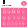 imageBeetles Tipex Gel Nail Kit with 224Pcs 16Sizes Medium Coffin Apex Nail Tips C Curved  Prebuilding Acrylic Nails with Tipex Nail GlueMini Nail Lamp Nail File for DIY Nails or Salon Use0LSquoval Extra Short 224pcs Tipex Nail Kit