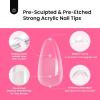 imageBeetles Tipex Gel Nail Kit with 224Pcs 16Sizes Medium Coffin Apex Nail Tips C Curved  Prebuilding Acrylic Nails with Tipex Nail GlueMini Nail Lamp Nail File for DIY Nails or Salon Use0KOval Medium 224pcs Tipex Nail Kit
