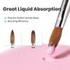 imageBeetles Pro 1Pcs Acrylic Nail Brush  Professional Pure Kolinsky Bristles Acrylic Brushes for Nails Metallic Nail Art Brushes for Nails Extension Gel 3D Carving  Salon Quality Manicure Tool 10Pro Acrylic Nail Brush 12