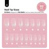 imageBeetles Tipex Instant Apex Nail Tips Kit  Almond Medium 224PCS 16 Sizes  PreEtched Thick Full Cover Acrylic Tips with Tipex Nail Glue Dehydrator Primer Base ampamp Top Coat Mini UV Lamp17Square Medium 512pcs Tipex Nail Tips