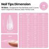 imageBeetles Tipex Instant Apex Nail Tips Kit  Almond Medium 224PCS 16 Sizes  PreEtched Thick Full Cover Acrylic Tips with Tipex Nail Glue Dehydrator Primer Base ampamp Top Coat Mini UV Lamp0ATipex LiteStiletto Medium 96pcs