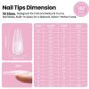 imageBeetles Tipex Lite Apex Nail Tips Kit Almond Short 192pcs 16 Sizes with UV Nail Glue Base ampamp Top Coat Mini Nail Lamp Nail Clipper ampamp Cuticle NipperPreBuilding PreEtched Acrylic Tips KitTipex LiteCoffin Long 192pcs Kit