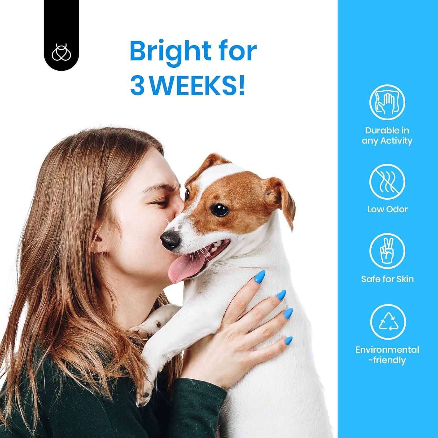 imageBeetles Galaxy Wish Silver Cat Eye Gel Nail Polish  15ML Christmas Silver Glitter Cat Eye Gel Polish with Magnet Soak Off UV Velvet Nail Polish Salon DIY Manicure Winter Gift for Women113Aquarius Blue