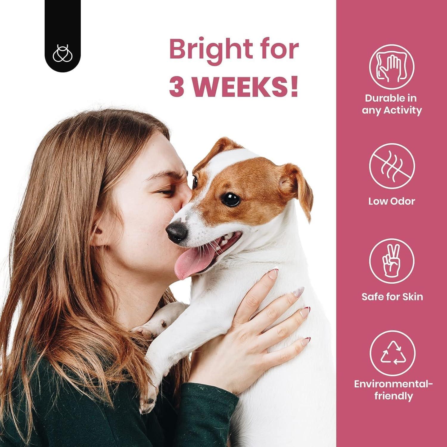 imageBeetles Jelly Gel Nail Polish Set  Ballet Dress Jelly Gel Polish 6 Colors Milky Pink Nude Pink Sheer Gel Nail Kit Transparent Effect Soak Off UV DIY Manicure French Nail Art Gifts for Women0City of Love