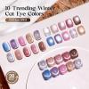 imageBeetles Cat Eye Gel Nail Polish Set  10 Colors Glitter Cat Eye Glint Gel Polish Kit Silver Nude Pink Blue Brown Purple Magnetic Shine Soak Off UV French Nail Art Salon DIY Manicure Gift for Women000Cat Eye Glint