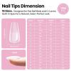 imageBeetles Tipex Lite PreBuilt Apex Nail Tips Kit Square Short 256pcs 16 Sizes with Tipex Nail Glue Dehydrator Primer Base amp Top Coat Mini UV Lamp AllinOne Gel Nail Kit2GTipex LiteCoffin Short 256pcs