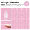 imageBeetles Tipex Lite PreBuilt Apex Nail Tips Kit Square Short 256pcs 16 Sizes with Tipex Nail Glue Dehydrator Primer Base amp Top Coat Mini UV Lamp AllinOne Gel Nail Kit2FTipex LiteCoffin Long 256pcs