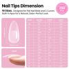 imageBeetles Tipex Lite PreBuilt Apex Nail Tips Kit Square Short 256pcs 16 Sizes with Tipex Nail Glue Dehydrator Primer Base amp Top Coat Mini UV Lamp AllinOne Gel Nail Kit2CTipex LiteAlmond Medium 256pcs