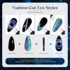 imageBeetles Cat Eye Gel Nail Polish Set 6 Colors Brown Purple Glitter Nude Sparkle Stunning Champagne Burgundy Gold lavender Magnetic Effect Nail U v Gel Polish Art Design Gifts for Women00Galaxy Party