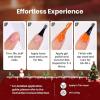 imageBeetles Deal Box Jelly Gel Nail Polish Set Summer Pink Milky White Black Green Cat Eye Jelly Veil Gel Polish Set HEMAFree TPOFree Base Top Coat 36 PCS 25 Colors UV LED Needed DIY Salon Home Gifts00 20 Colors Glowing Attraction