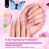 imageBeetles Deal Box Gel Nail Polish Kit with U V Light  20 Colors Gel Polish 40 Pcs Mix amp Muse Nail Kit with TPO amp HEMA Free Base and Top Coat DIY Nails Supplies Home Salon Manicure Set Gifts for Women0036 Colors Petal Symphony