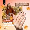 imageBeetles Deal Box Gel Nail Polish Kit with U V Light  20 Colors Gel Polish 40 Pcs Mix amp Muse Nail Kit with TPO amp HEMA Free Base and Top Coat DIY Nails Supplies Home Salon Manicure Set Gifts for Women1  Vivid Seasons