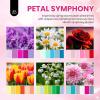 imageBeetles Deal Box Gel Nail Polish Kit with U V Light  20 Colors Gel Polish 40 Pcs Mix amp Muse Nail Kit with TPO amp HEMA Free Base and Top Coat DIY Nails Supplies Home Salon Manicure Set Gifts for Women0036 Colors Petal Symphony