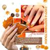 imageBeetles Deal Box Gel Nail Polish Kit with U V Light  32 Colors Studio Essentials Gel Polish 68 Pcs Nail Kit with TPO amp HEMA Free Base Coat Cat Eye Top Coat Home Salon DIY Nails Tools Gifts for Women01Vivid Seasons