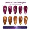 imageBeetles 4th of July Gel Nail Polish Set  6 Colors Independence Spark Cat Eye Gel Polish Kit Glitter Blue Red White Sliver Gold with Magnet amp Stickers Soak Off Uv Nail Art at Home Gift for Women000Astrology Tarot