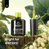 image:imageBeetles Pink Gel Polish  Strawberry Cream 15ML051Fl Oz Light Pink Gel Nail Polish Same Color Same Bottle Soak Off UV LED Lamp Summer Nails Art LongLasting Manicure Salon DIY HomeH  Creme Green  Fresh Greenery