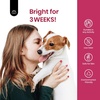 image:imageBeetles Pink Gel Polish  Strawberry Cream 15ML051Fl Oz Light Pink Gel Nail Polish Same Color Same Bottle Soak Off UV LED Lamp Summer Nails Art LongLasting Manicure Salon DIY HomeB  Creme Pink  Wild Tulips