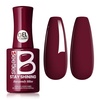 C - Creme Red | Burgundy Bliss