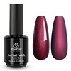 C - Shimmery Red | Cherry Mocha