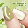 image:imageBeetles Orange Cat Eye Gel Nail Polish  15ML Orange Soda Summer Cat Eye Glitter Magnetic Gel Polish Shimmer Effect Soak Off UV French Nail Art Design Salon DIY Manicure Gifts for WomenH  Glassy Green  Pistachio Gleam