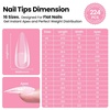 image:imageBeetles Tipex Instant Apex Nail Tips Kit  Stiletto Medium with Tipex Nail Glue Dehydrator Primer amp Beetles Tipex Lite PreBuilt Apex Nail Tips Stiletto Medium16 Sizes 96pcs